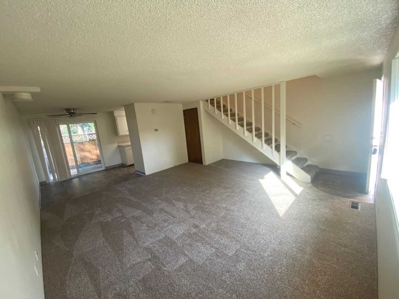 Bailey - Photo 4 of 23