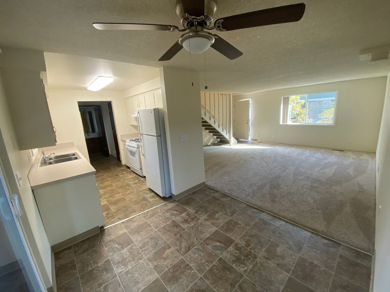 Bailey - Photo 5 of 23