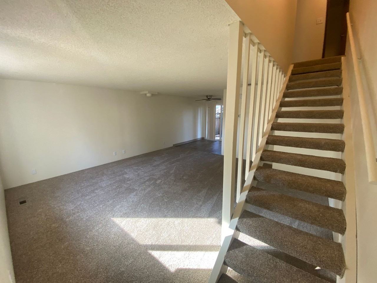 Bailey - Photo 6 of 23