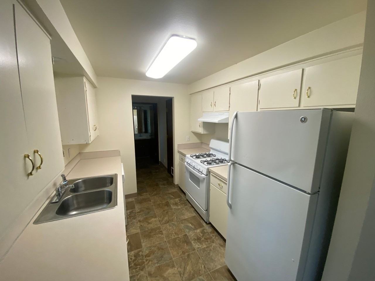 Bailey - Photo 7 of 23