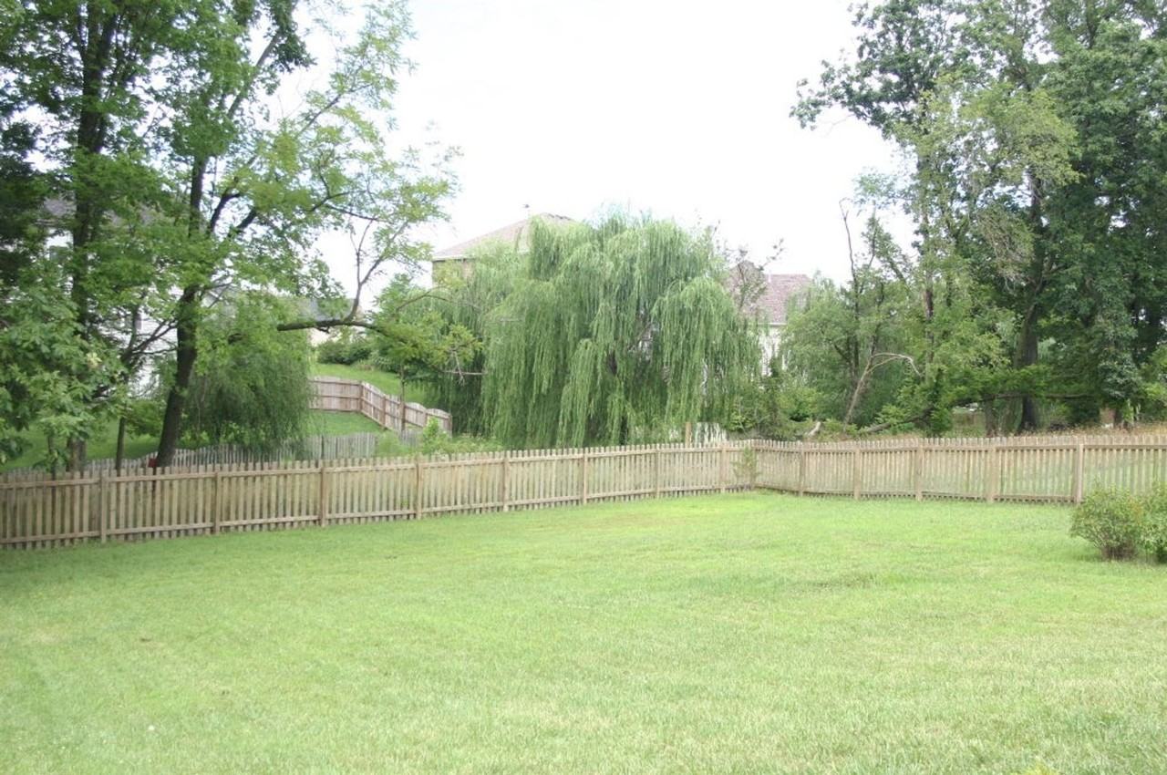 4107 Arctic Fox Dr - Photo 2 of 8