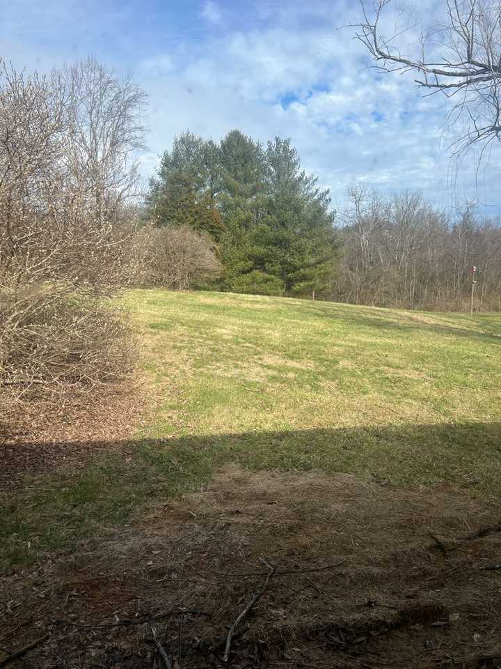 1113 N Paperville Rd - Photo 4 of 23