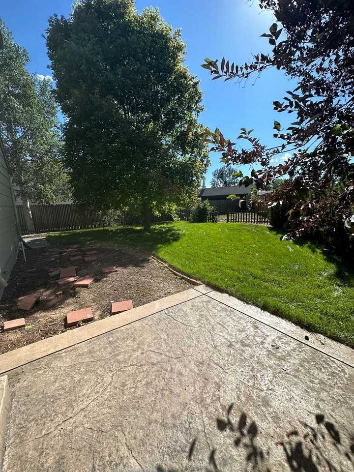3519 Dark Star Ct - Photo 2 of 21