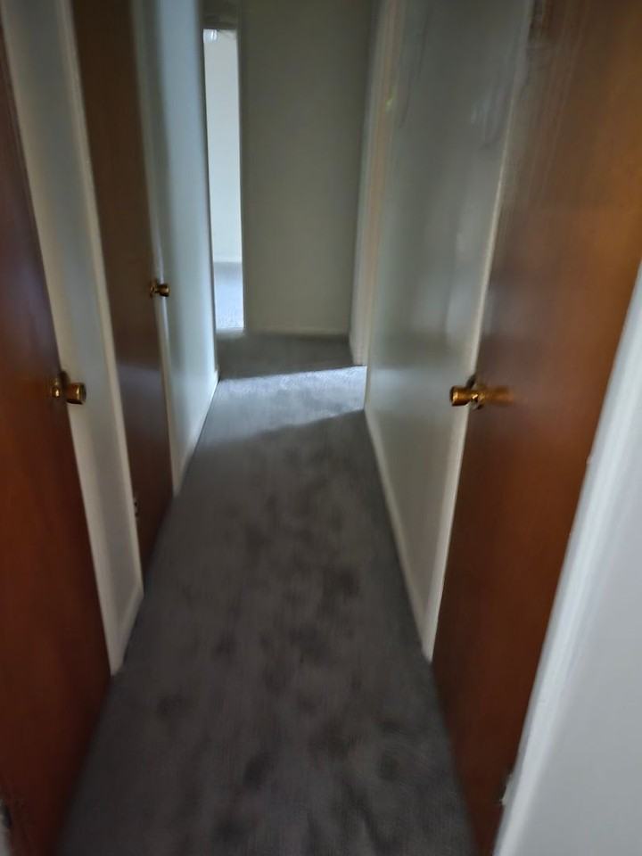 2923 Celeste Dr - Photo 7 of 20