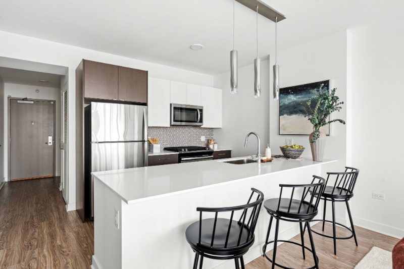 1335 South Michigan Avenue - Photo 2 of 19