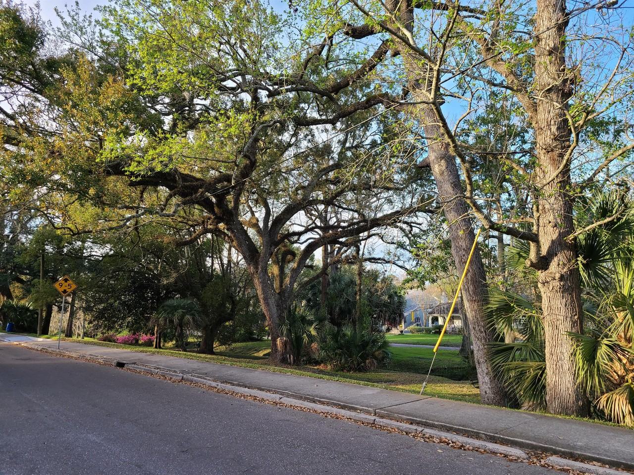 Amelia-1312 Willow branch Av. #3 (S) - Photo 3 of 16