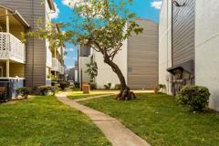 Chestnut Hill - Photo 1 of 1