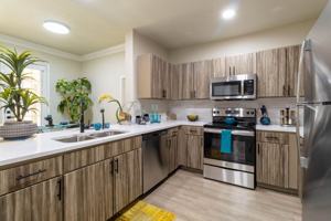 featured image of 4001 Fannin St #4M1