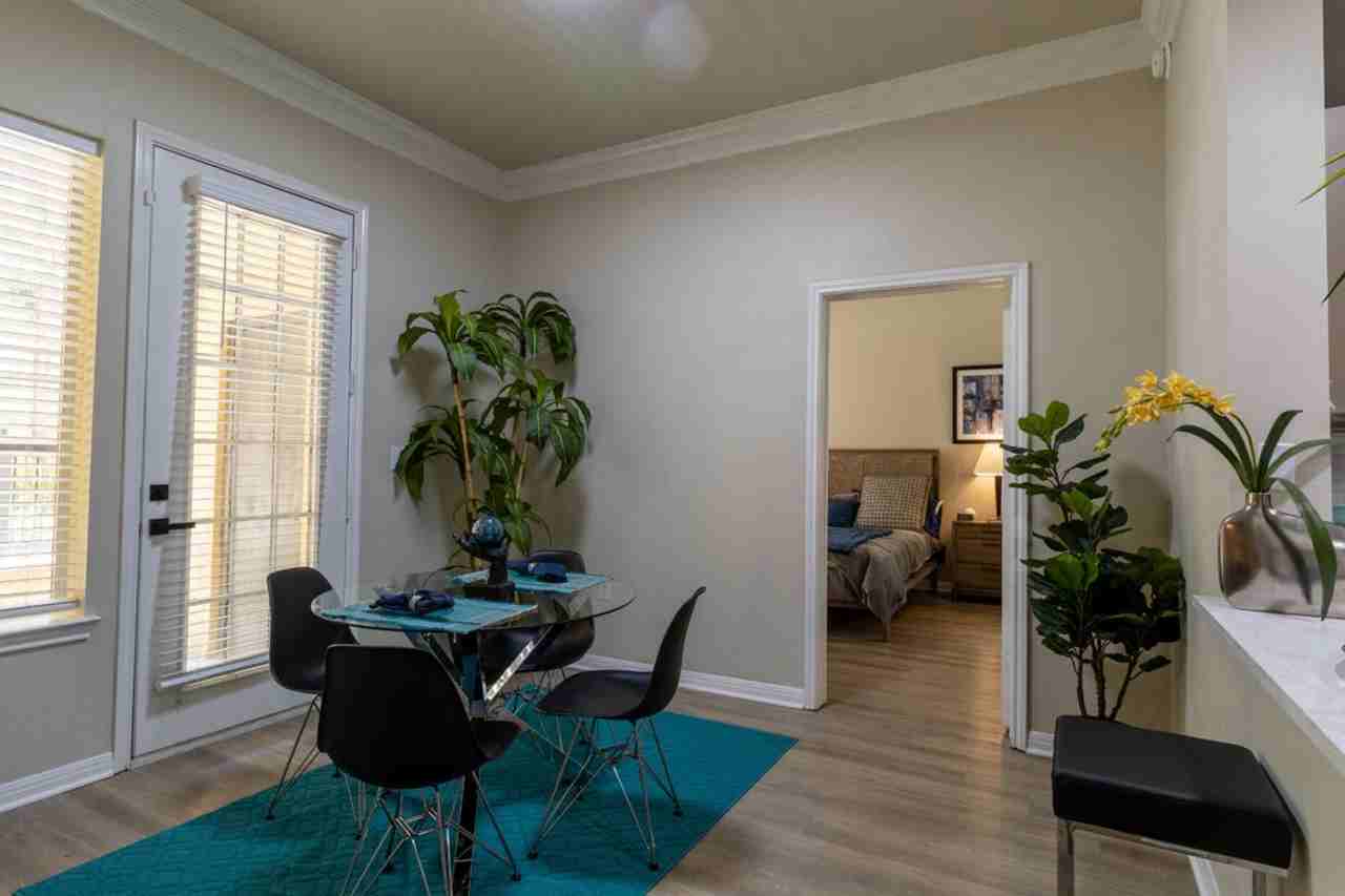 3000 San Jacinto Street #4M1 - Photo 5 of 16