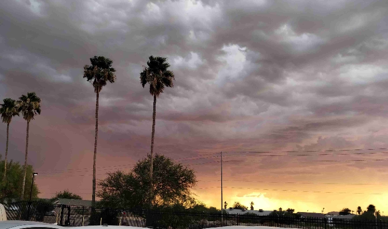 15551 S Sunland Gin Rd #A2 - Photo 5 of 10