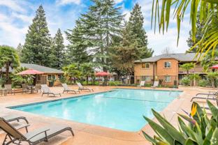 Pine Tree Apartments - Photo 1 of 1