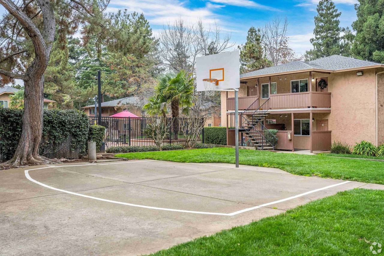 Pine Tree Apartments - Photo 6 of 50