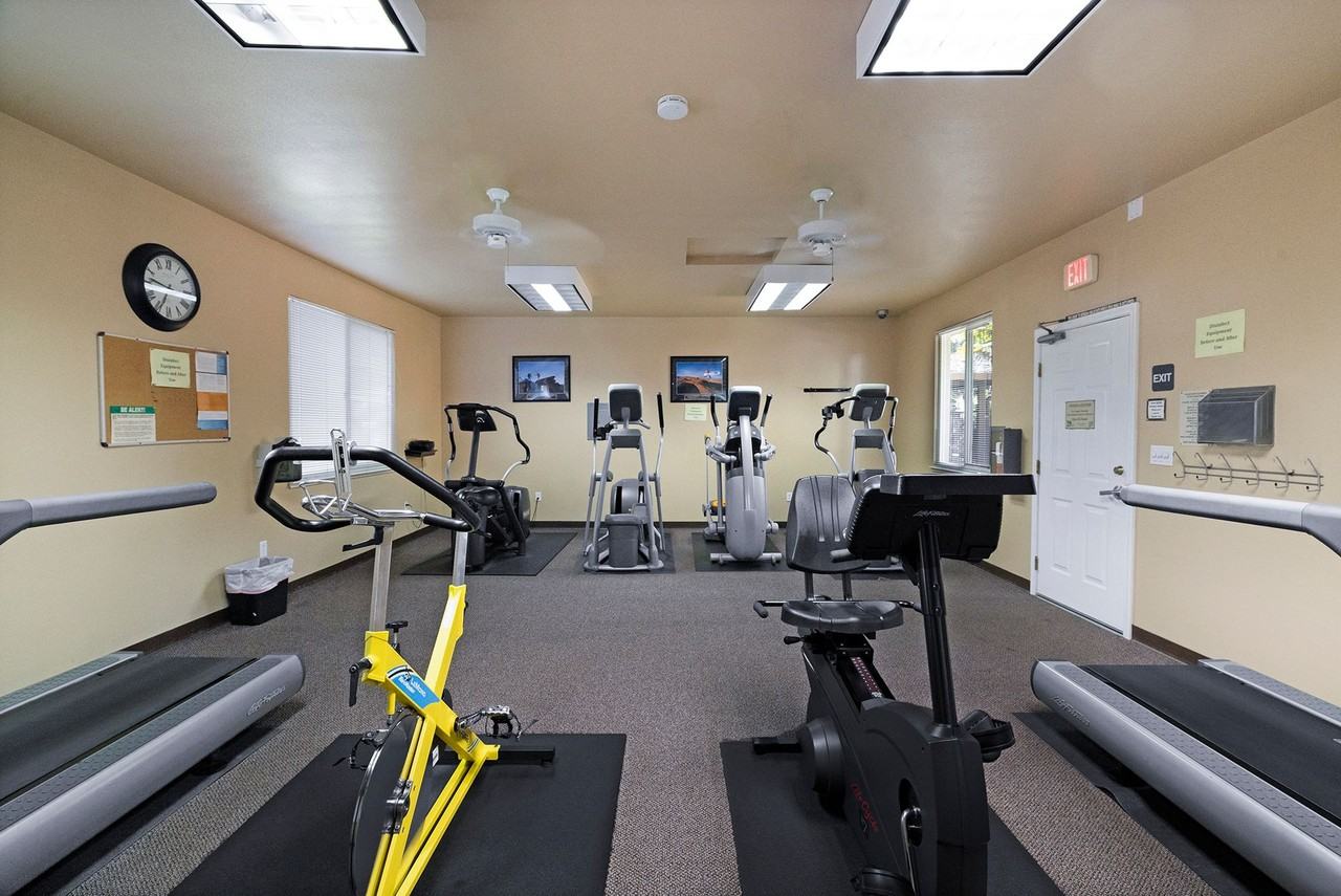 Pine Tree Apartments - Photo 5 of 50