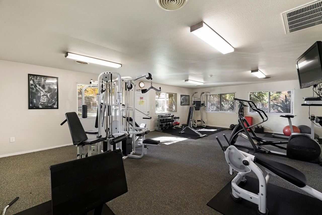 Pine Tree Apartments - Photo 6 of 50