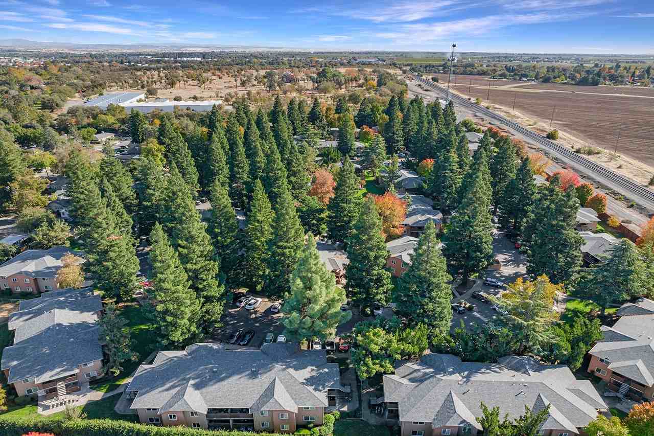 Pine Tree Apartments - Photo 7 of 50