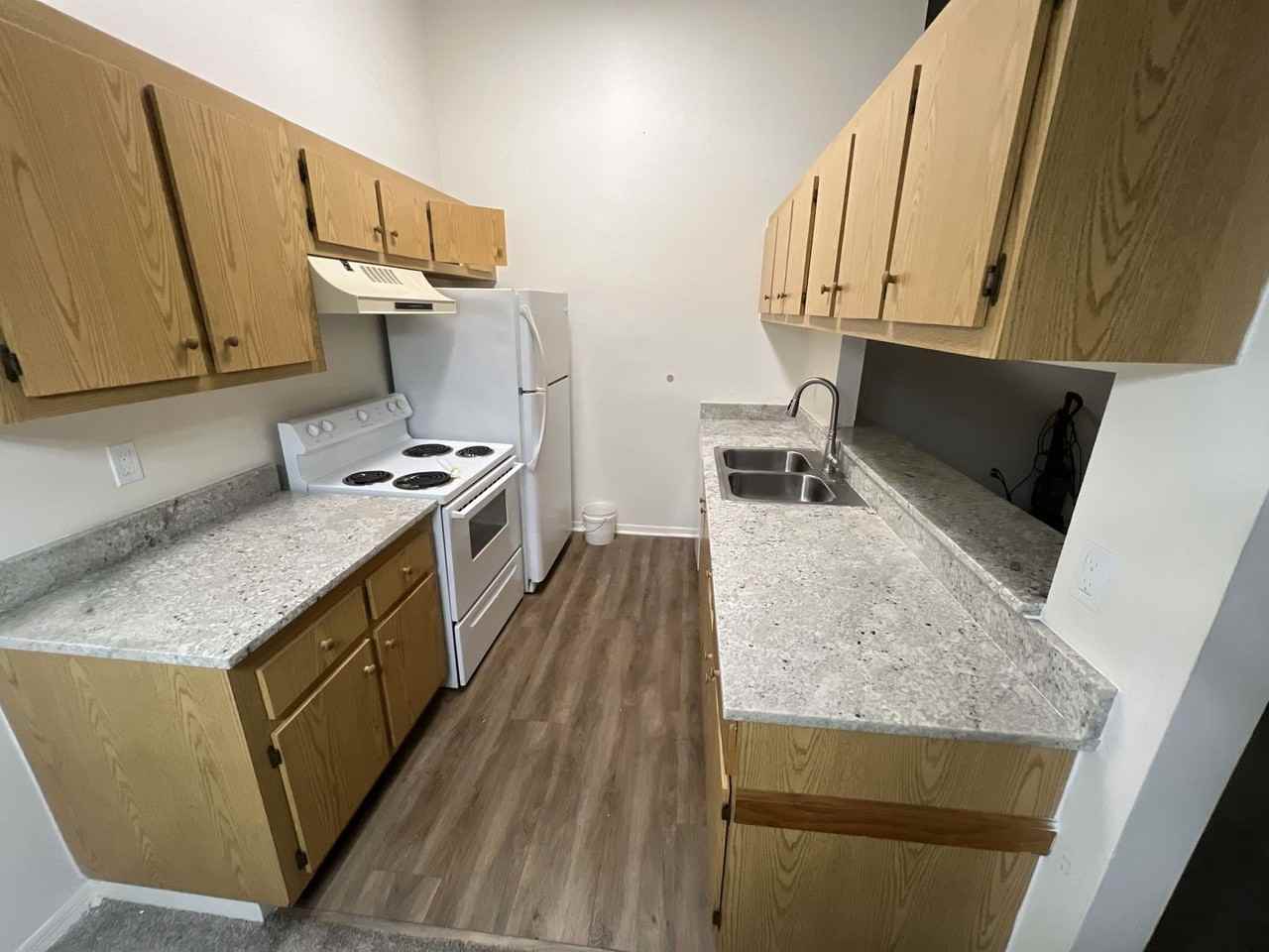 Thor - Photo 2 of 15