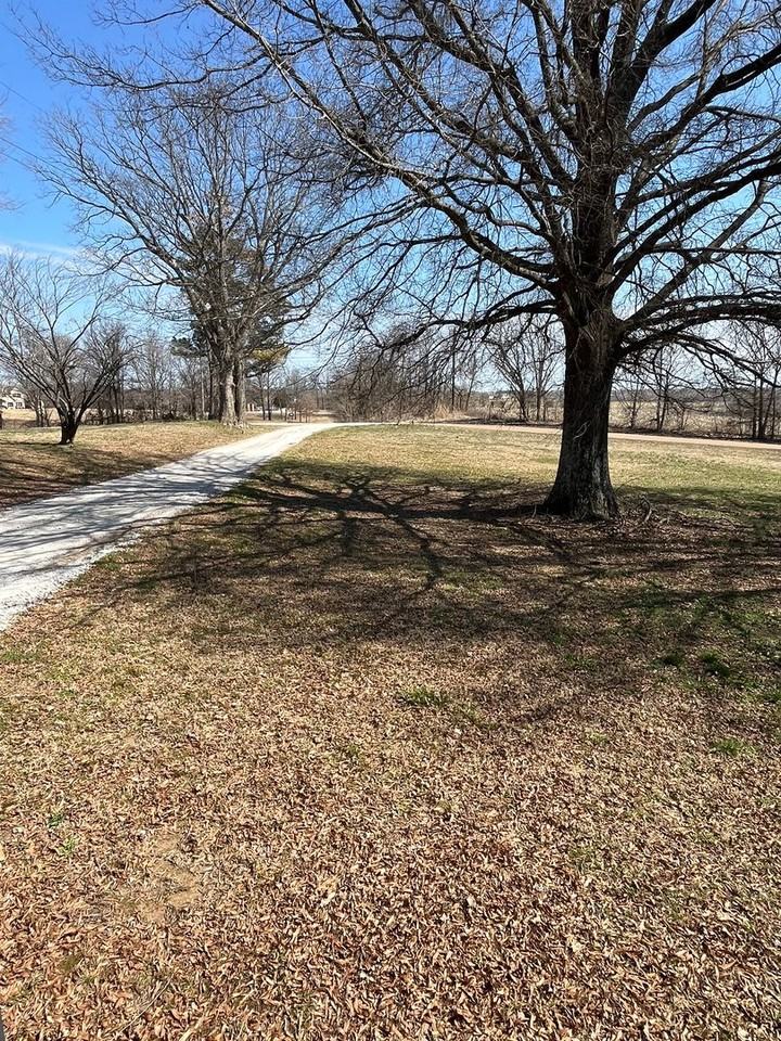 1357 Liberty Church Smith Rd - Photo 3 of 22