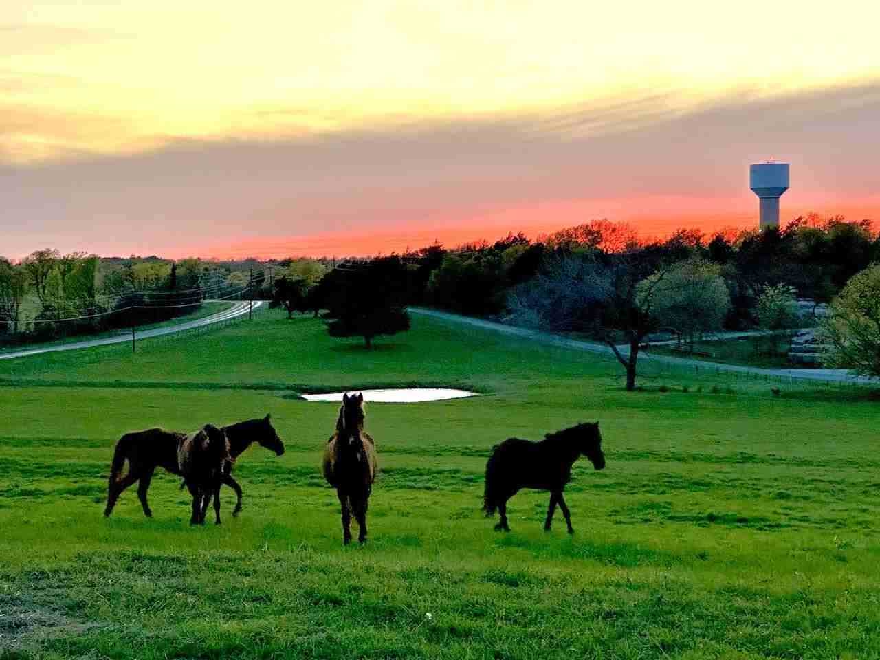 4251 Fm 121 #NA - Photo 2 of 34