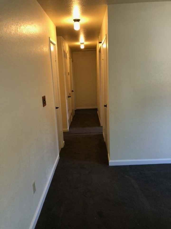 1101 Ellis Ct - Photo 5 of 11