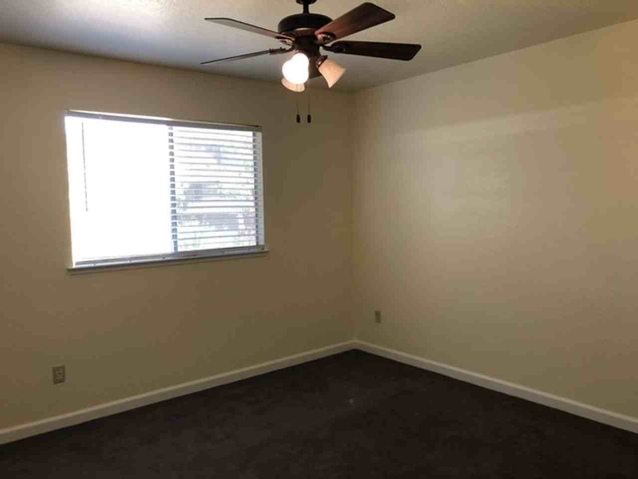 1101 Ellis Ct - Photo 6 of 11