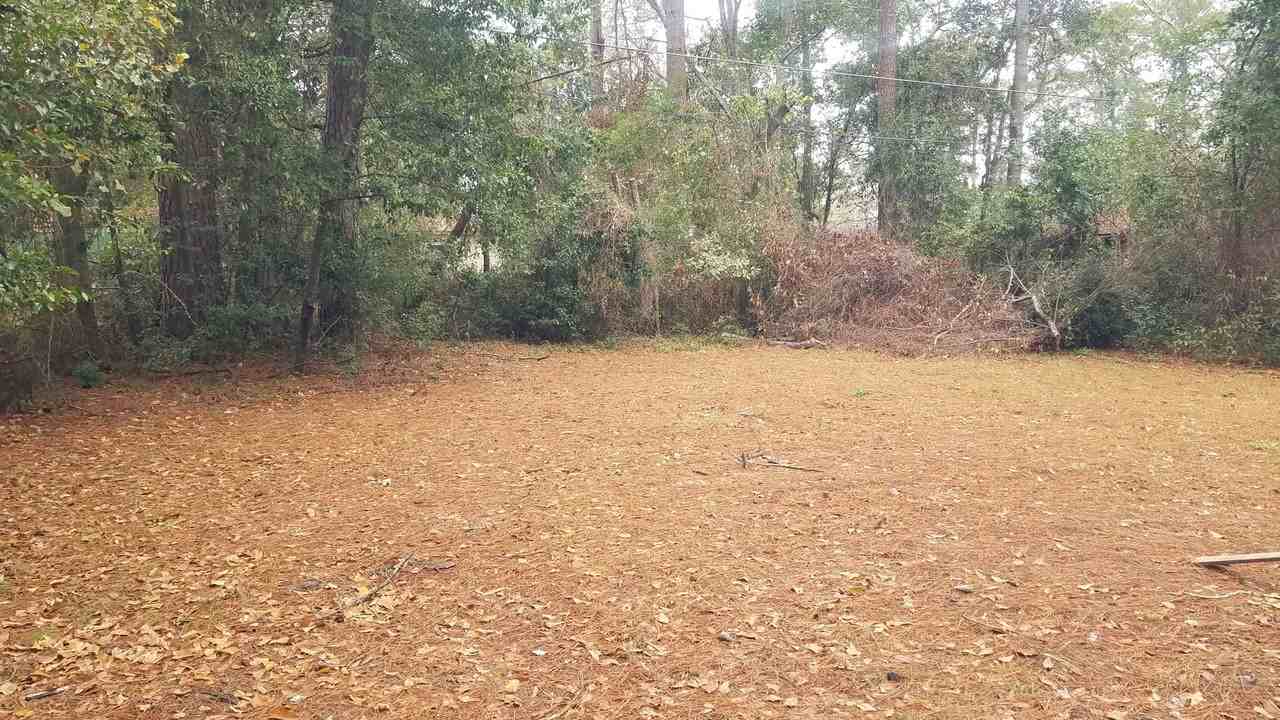 810 Poplar Dr - Photo 2 of 19