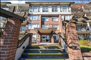 46289 Yale Rd #317 - Photo 1 of 1