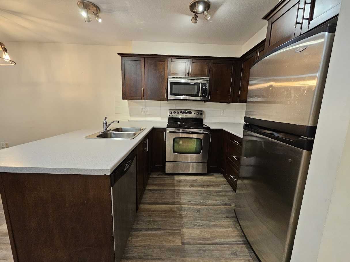 46289 Yale Rd #317 - Photo 3 of 13