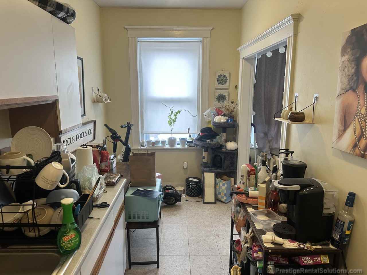 Kelton St #18 - Photo 5 of 10