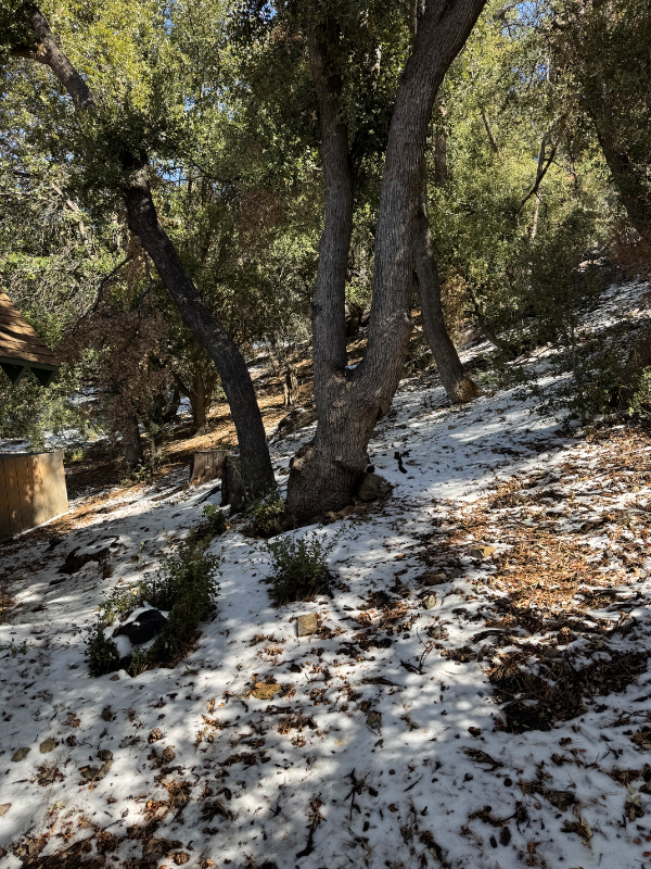 1920 Matterhorn Dr - Photo 5 of 20