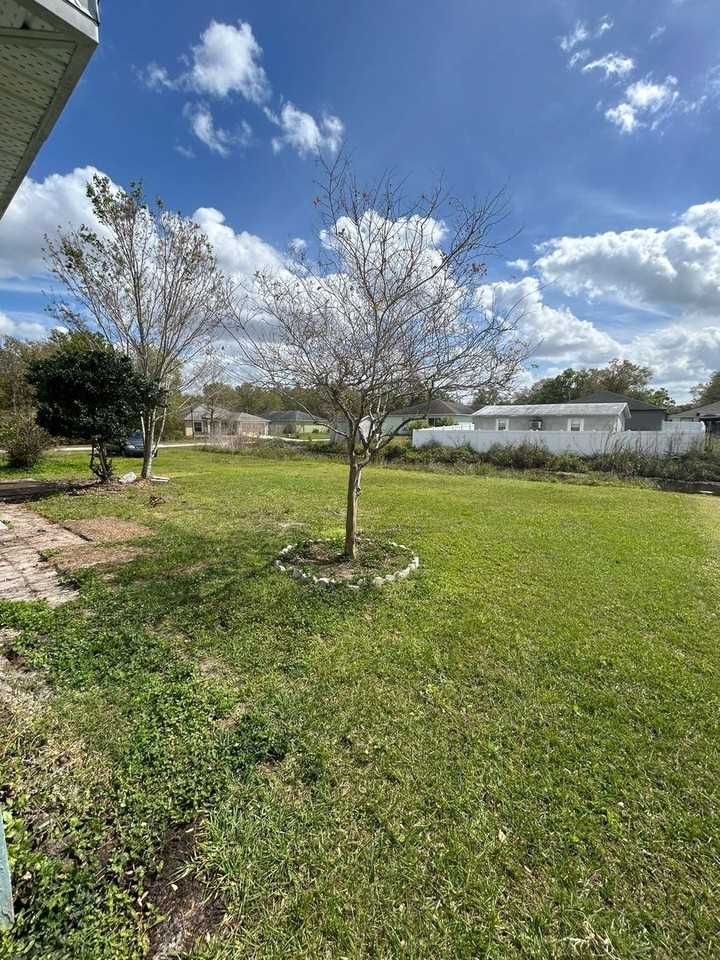 1679 Saddlehorn Dr - Photo 3 of 20