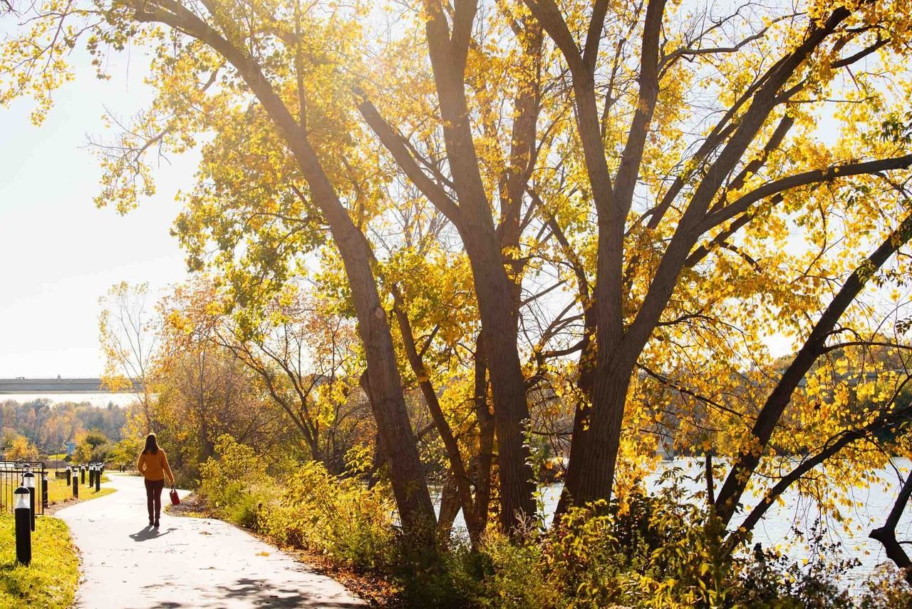 RiverHeath Evergreen - Photo 5 of 6