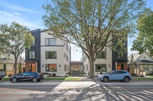 Laurel and Olive - Photo 1 of 1