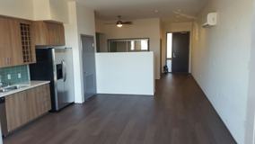 Olea - Photo 1 of 1