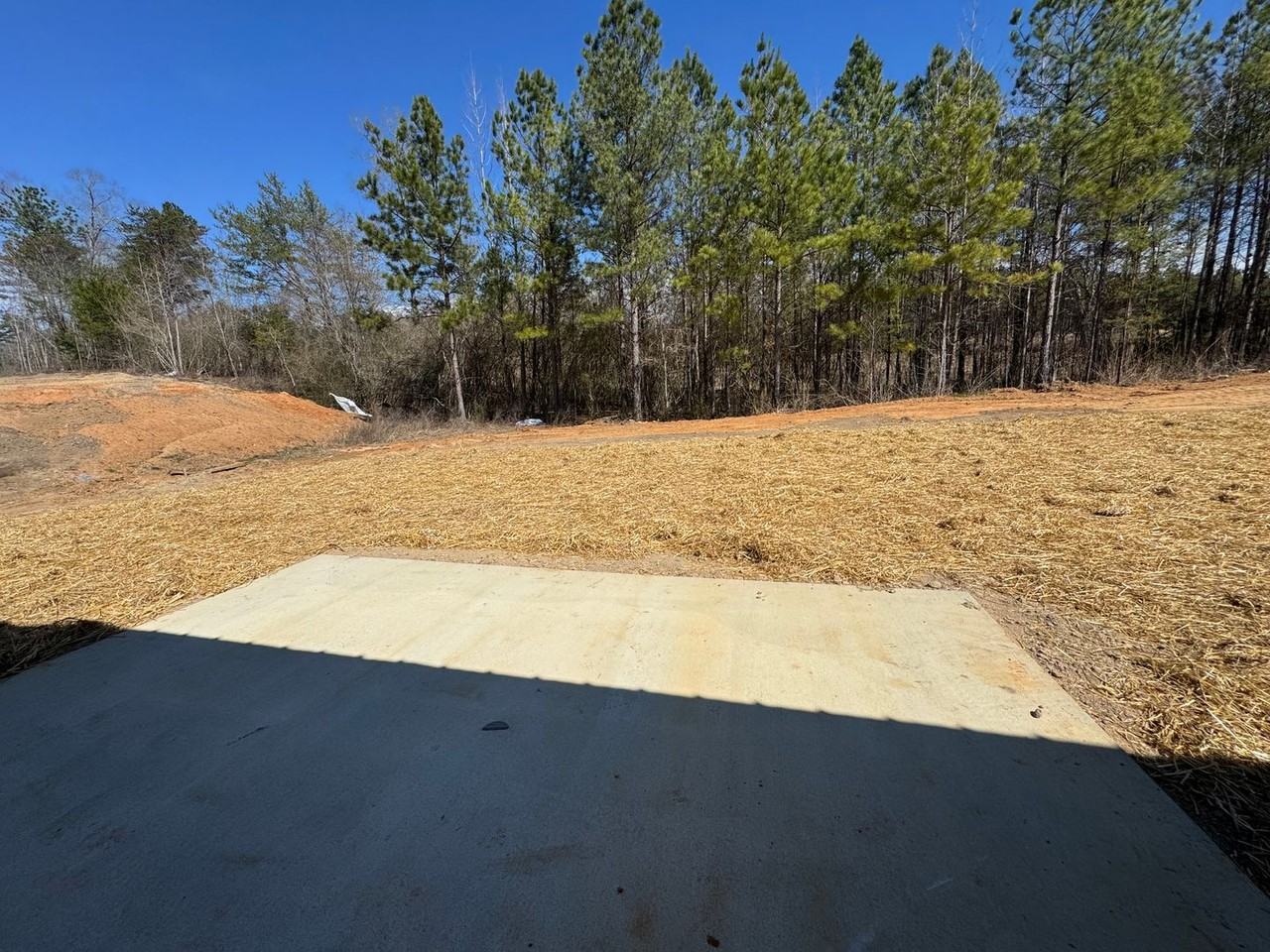 284 Silver Run Rd - Photo 4 of 19