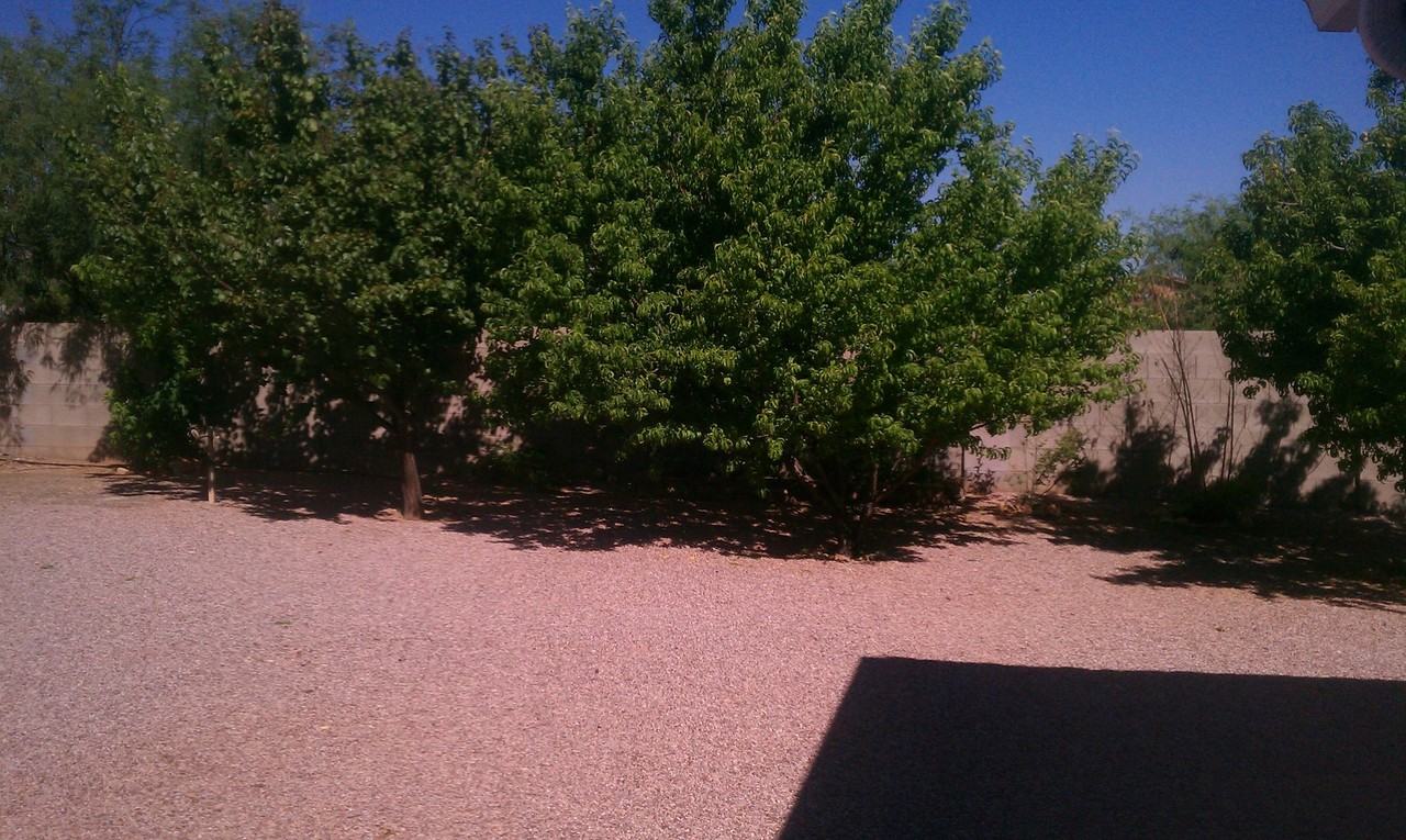 4326 S Featherbush Ct - Photo 5 of 22