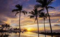 30 Kainehe Place #3A - Photo 1 of 1