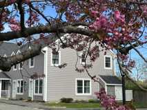 16 Mussey Street #301 - Photo 1 of 1