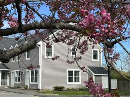 featured image of 16 Mussey Street #301