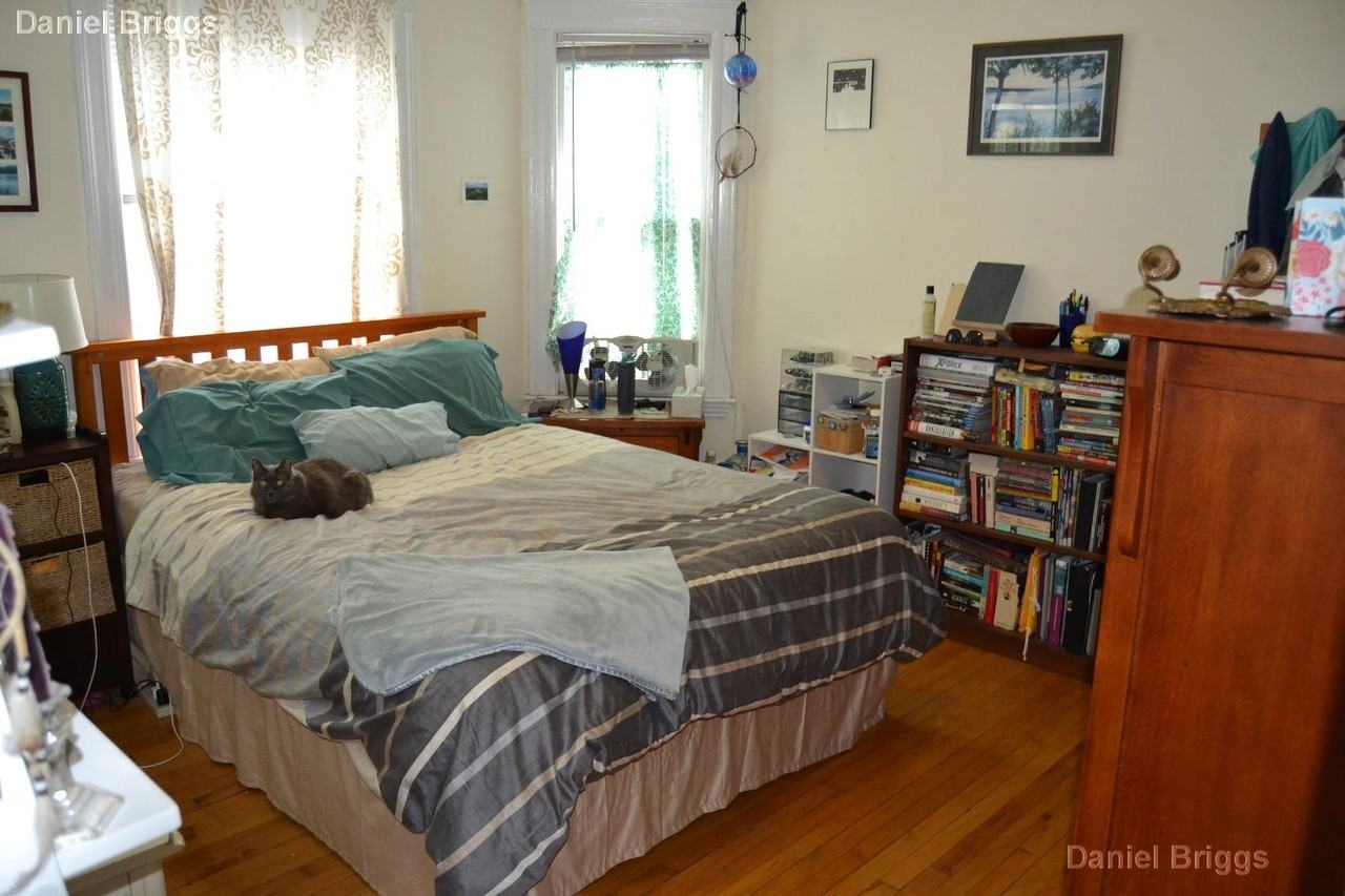 331 Faneuil St #1 - Photo 7 of 13