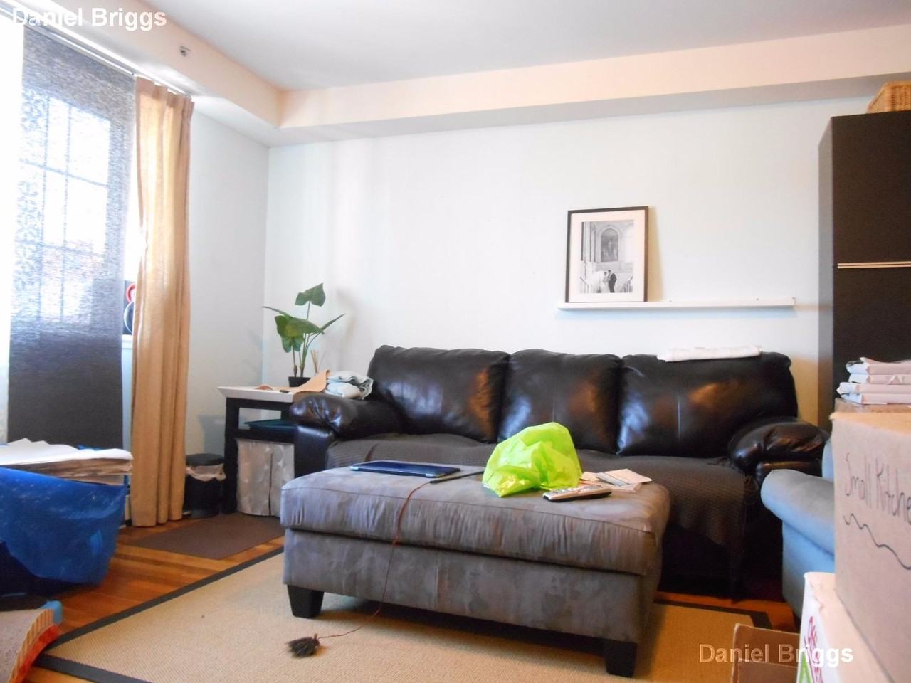 8 Griggs St #9 - Photo 3 of 13