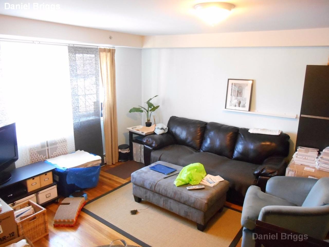 8 Griggs St #9 - Photo 4 of 13