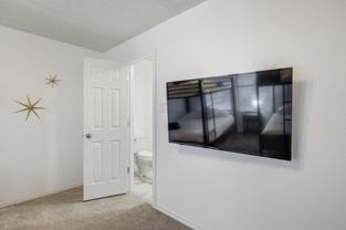 3116 Paolo Dr - Photo 1 of 1