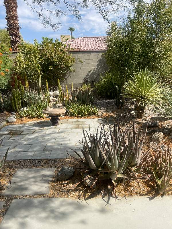 1430 E Vista Chino - Photo 3 of 17