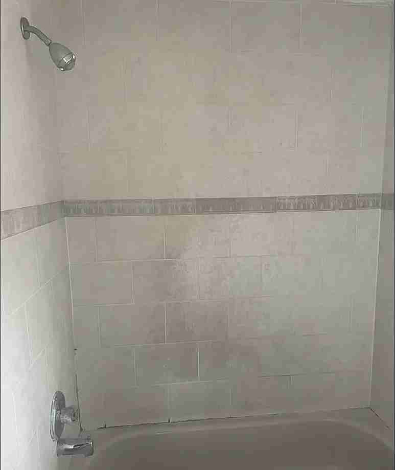 1106 W Tilghman St #2ndFL - Photo 3 of 4