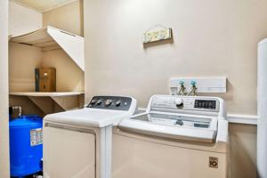 featured image of Sue Dr