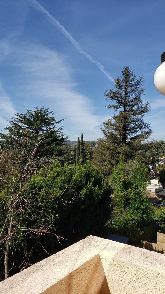 Glendale Blvd (2305) - Photo 4 of 18