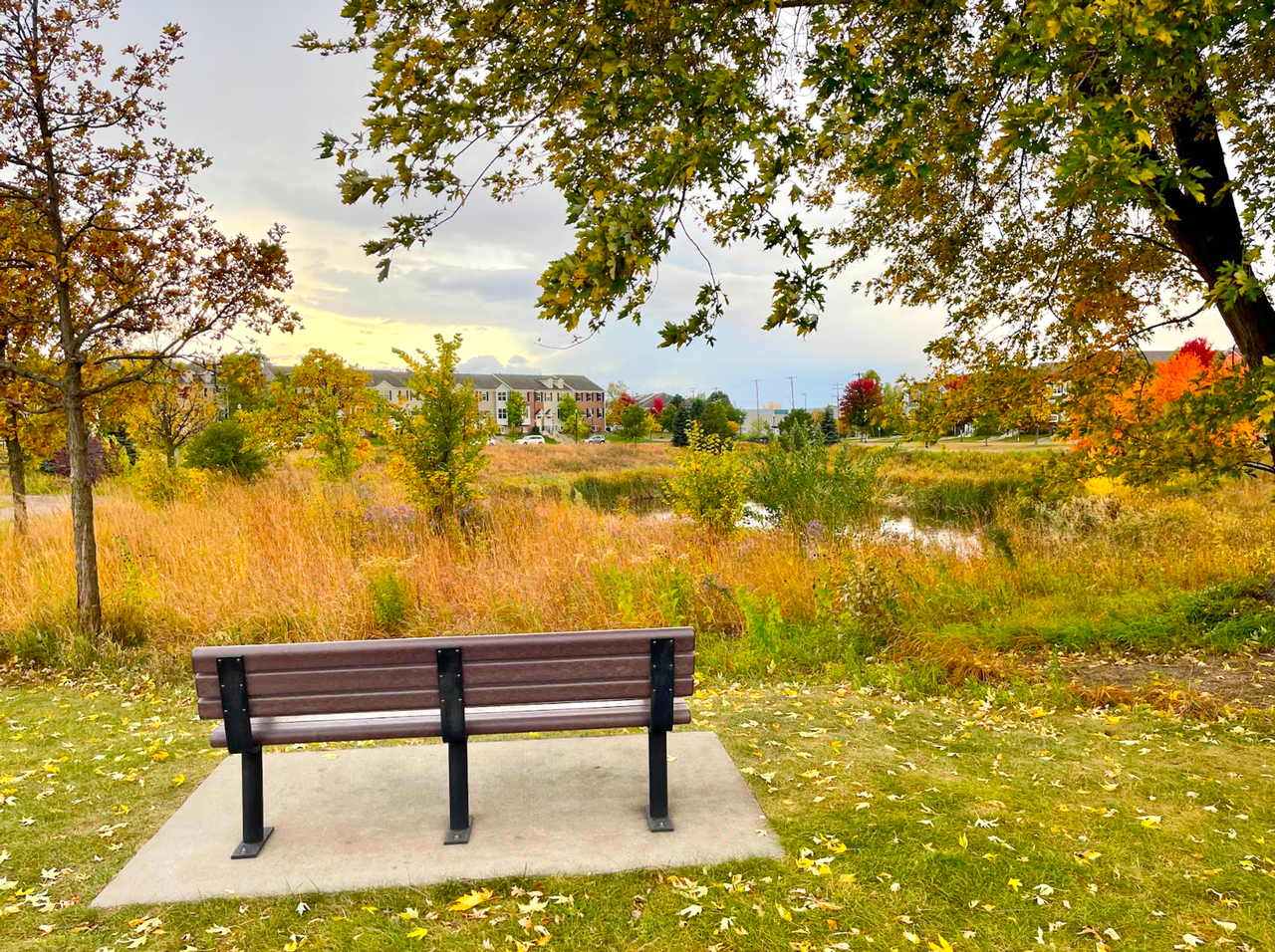 3915 Lookout Place - Photo 6 of 6