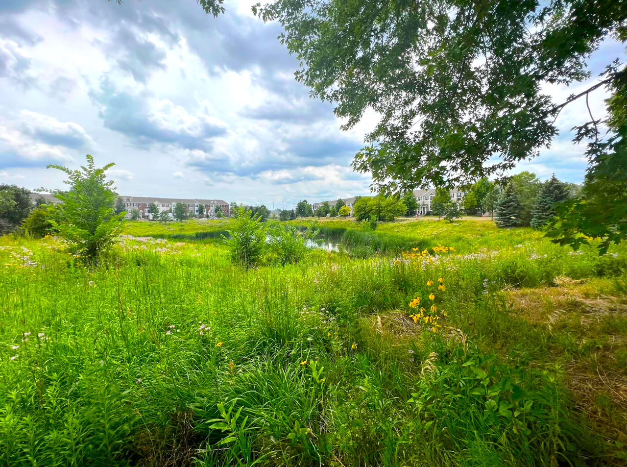 3915 Lookout Place - Photo 5 of 6