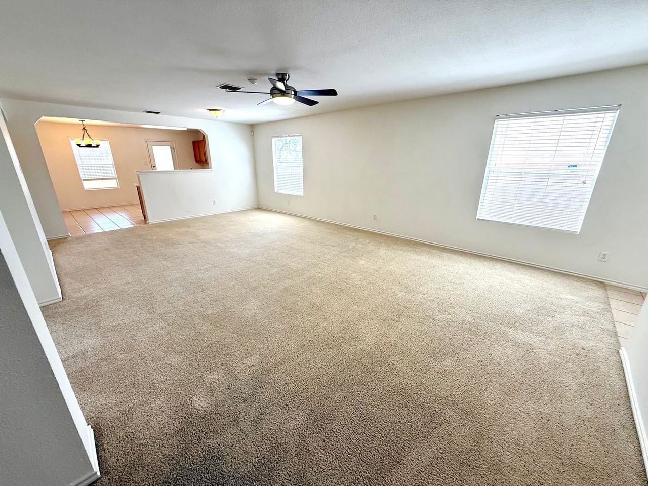 3518 Ironwood Fls - Photo 3 of 27