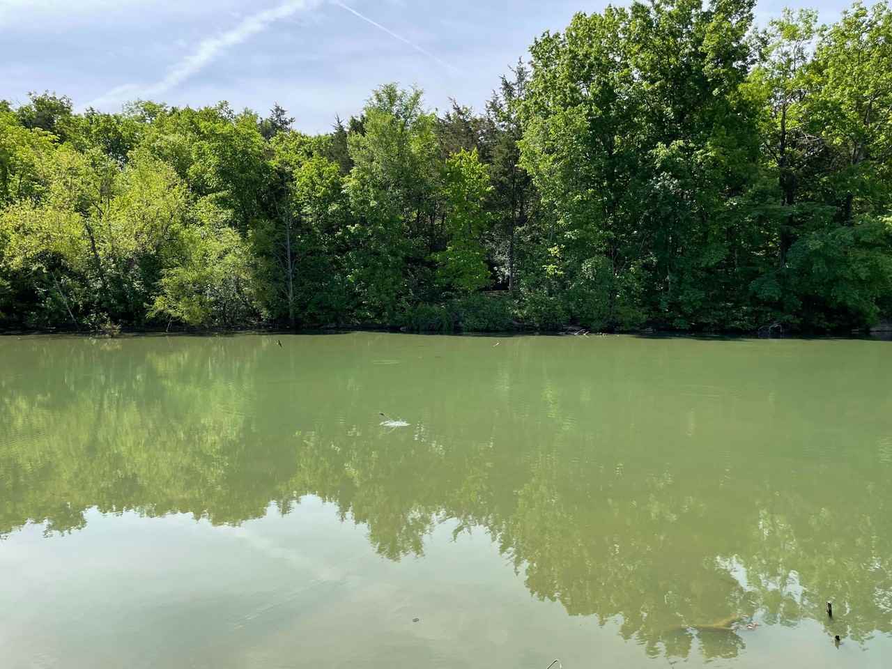 Fox Lake Apartment Homes - Photo 4 of 16